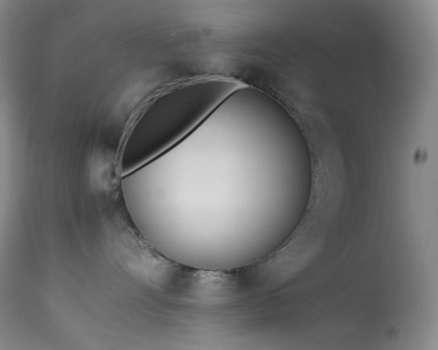 X0000113990528200910021226