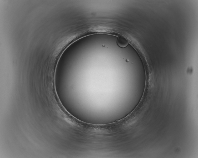 X0000113990529200910021225