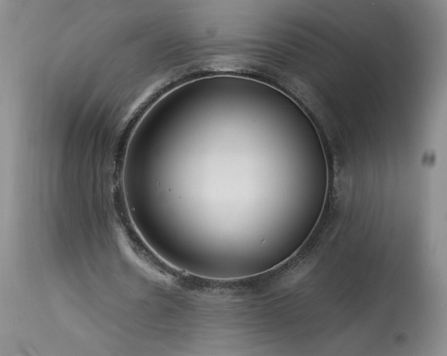 X0000113990530200910021225