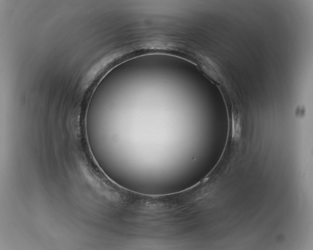 X0000113990531200910021225