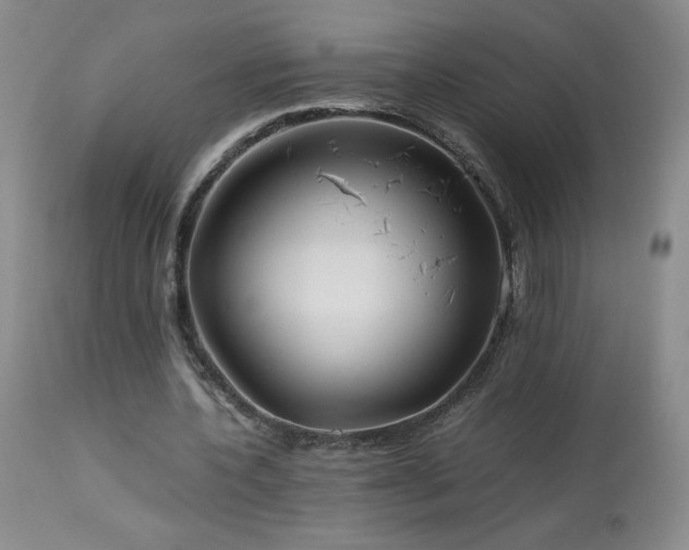 X0000113990532200910021225