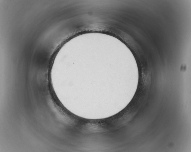 X0000113990534200910021225