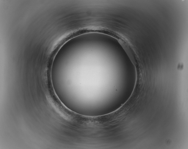 X0000113990535200910021225