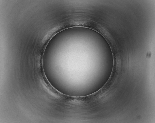 X0000113990537200910021225