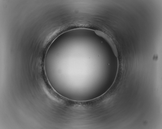 X0000113990538200910021225