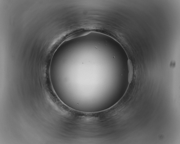 X0000113990539200910021225