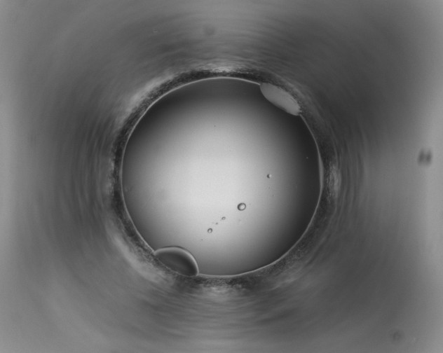 X0000113990540200910021225