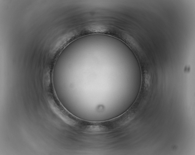 X0000113990541200910021225