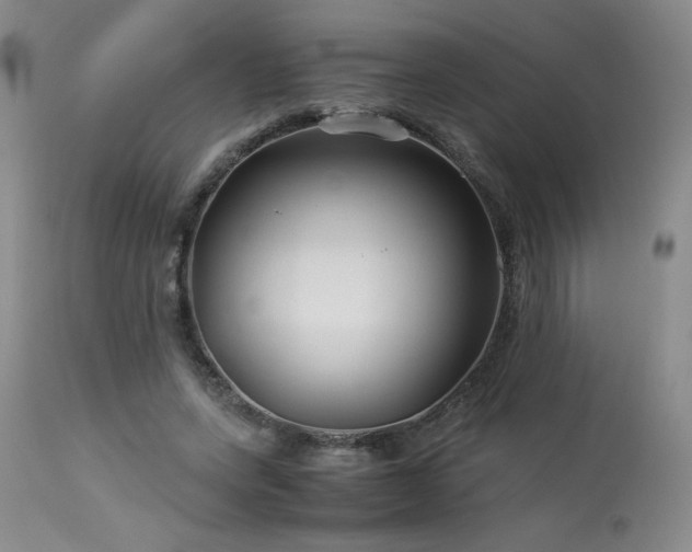 X0000113990543200910021225