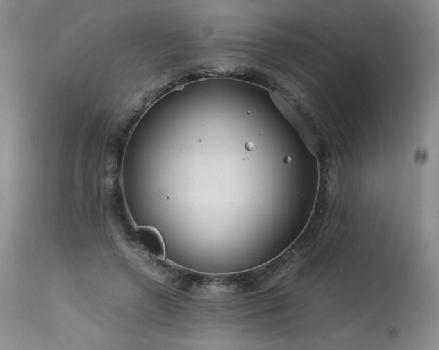 X0000113990546200910021225