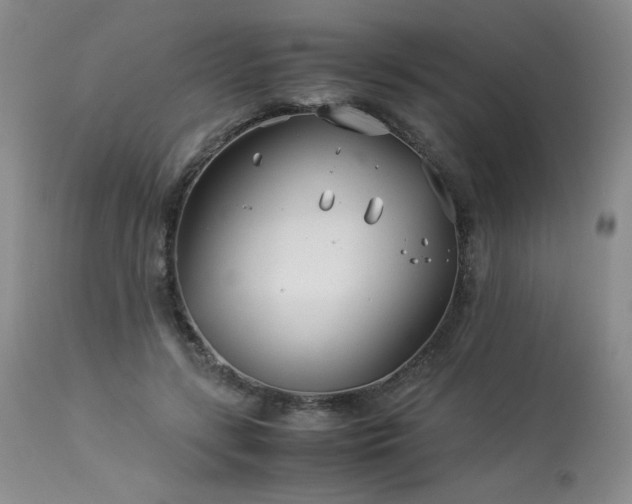 X0000113990547200910021225