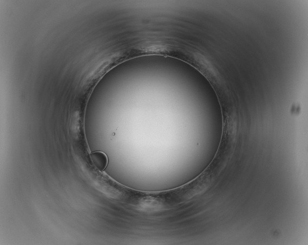 X0000113990549200910021225