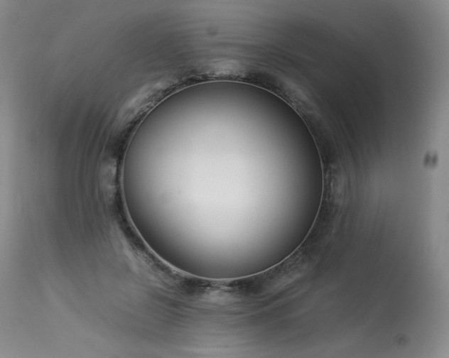 X0000113990550200910021225