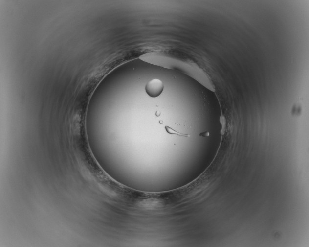 X0000113990551200910021225