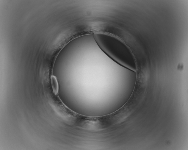 X0000113990552200910021225