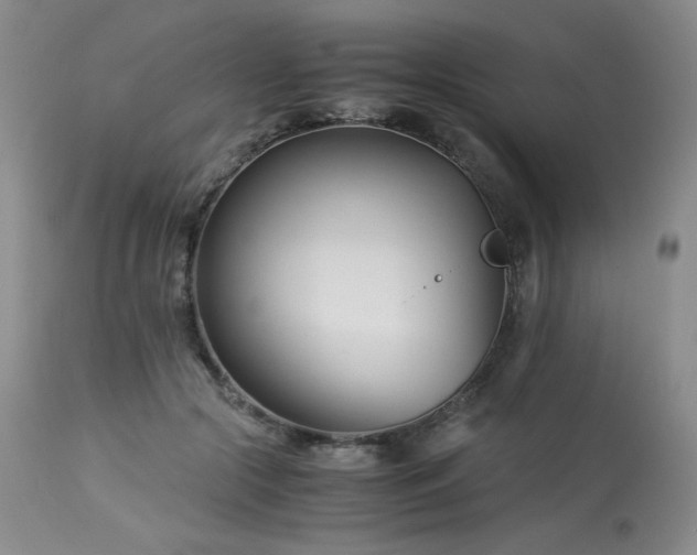 X0000113990553200910021225