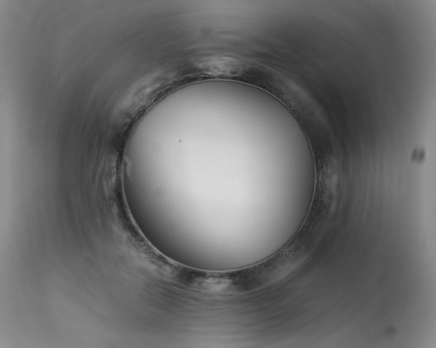 X0000113990554200910021225