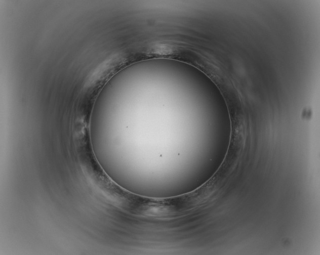 X0000113990555200910021225