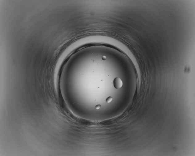 X0000113990556200910021225