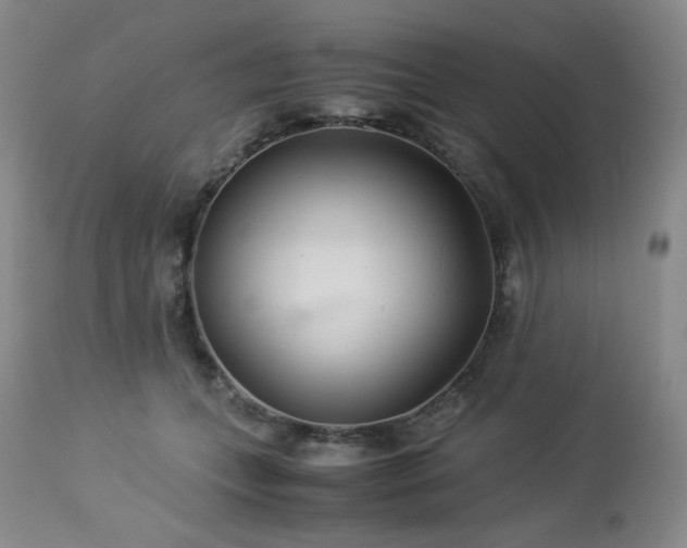 X0000113990559200910021225