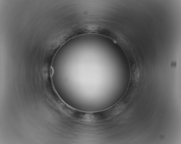 X0000113990562200910021225