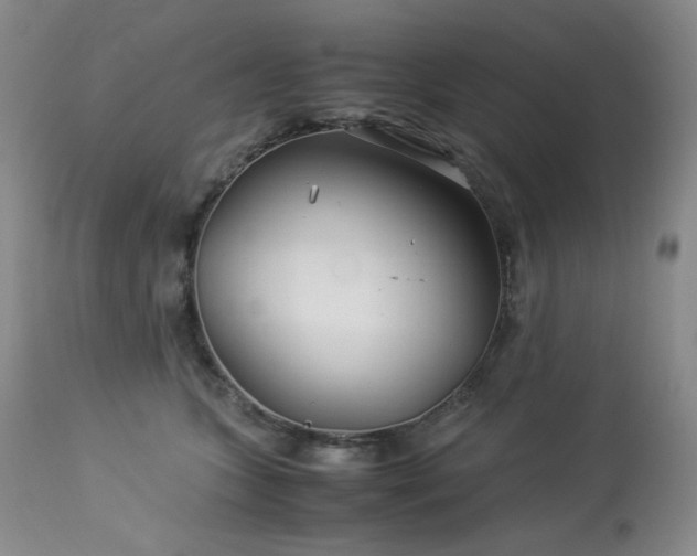 X0000113990563200910021225