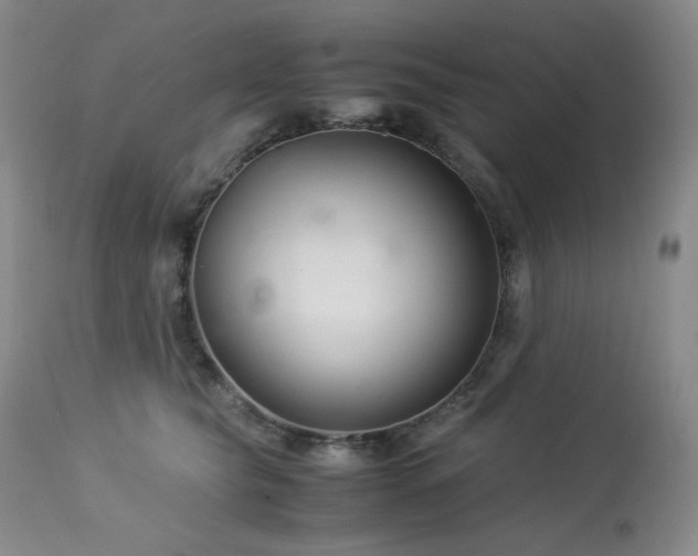 X0000113990565200910021225