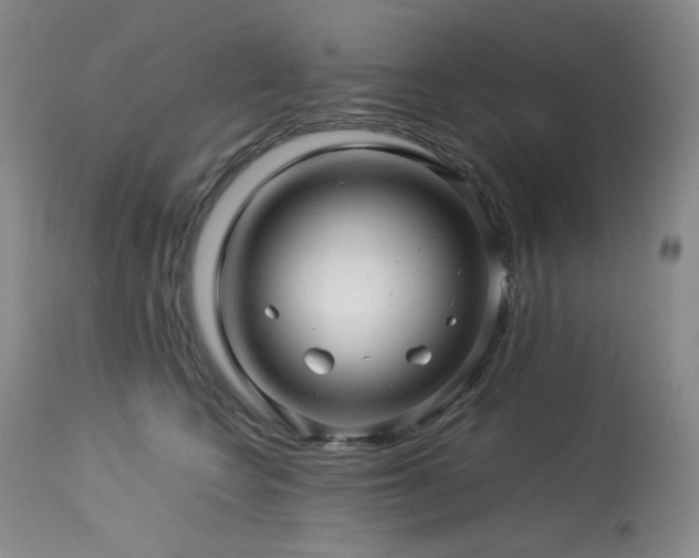 X0000113990566200910021225