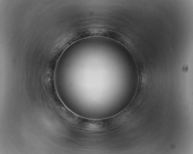 X0000113990567200910021225