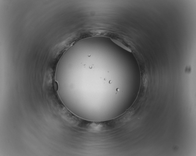 X0000113990570200910021225