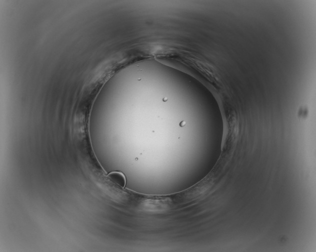 X0000113990571200910021226