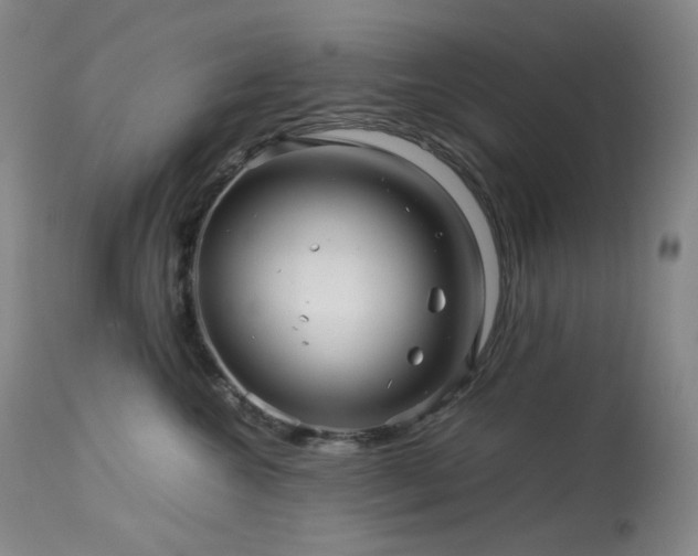 X0000113990572200910021226