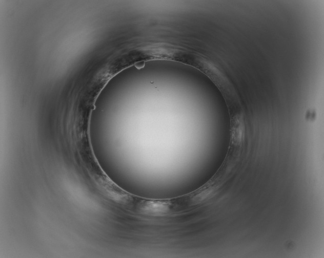 X0000113990573200910021226