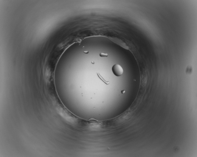 X0000113990574200910021226