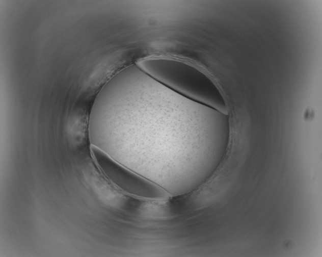 X0000113990576200910021226