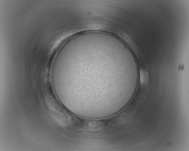 X0000113990579200910021225