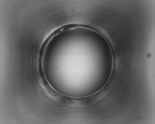 X0000113990580200910021225