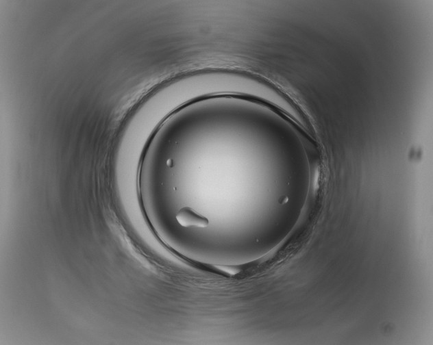 X0000113990581200910021225