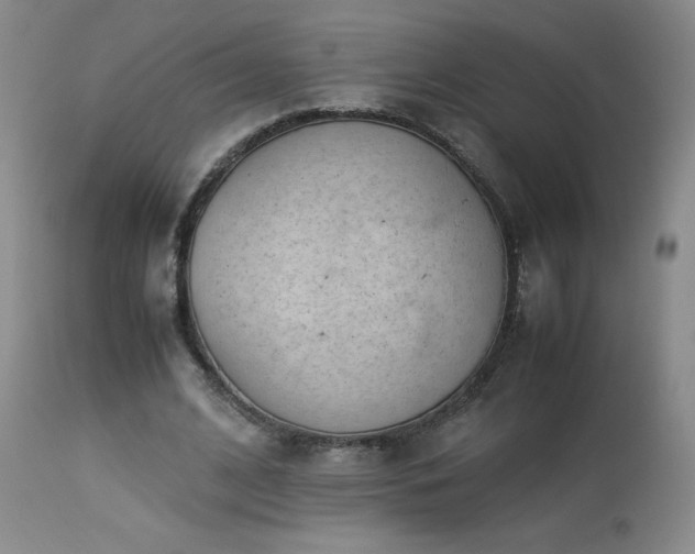 X0000113990584200910021225