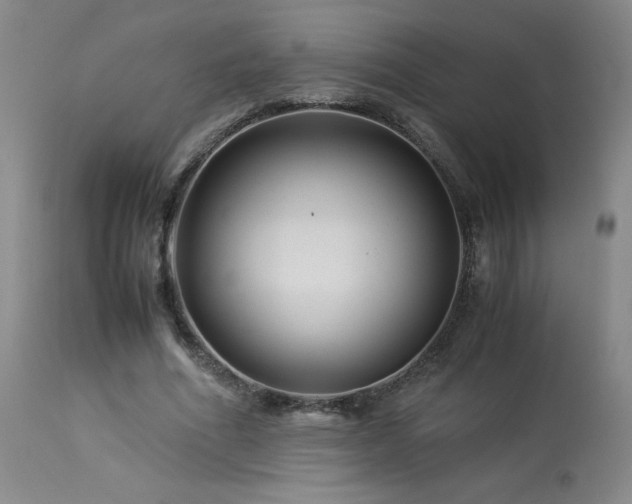 X0000113990586200910021225