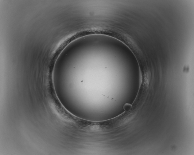 X0000113990588200910021224