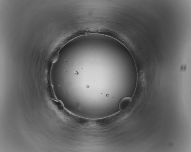 X0000113990589200910021224