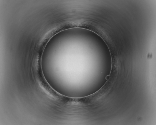 X0000113990590200910021224