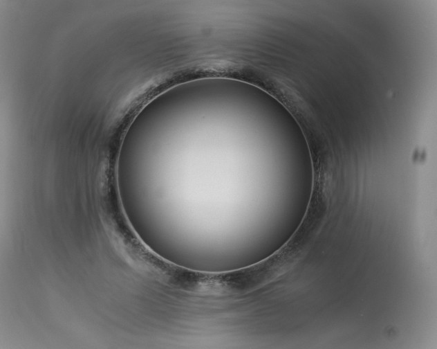 X0000113990591200910021224