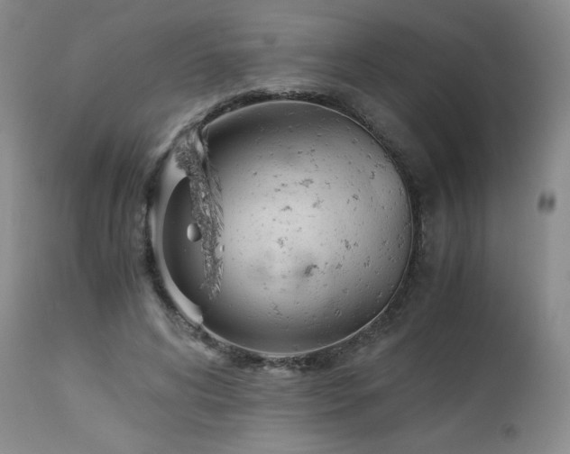 X0000113990592200910021224