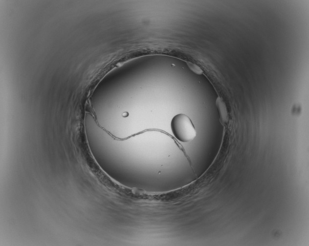 X0000113990593200910021224