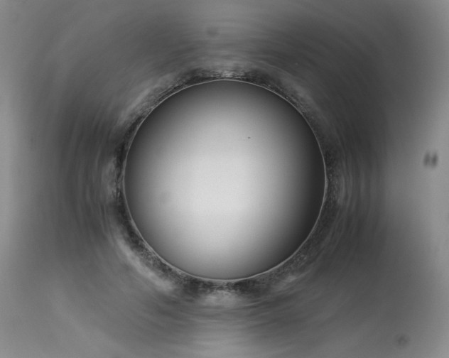 X0000113990594200910021224