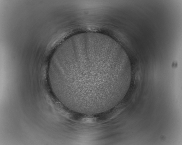 X0000113990595200910021224