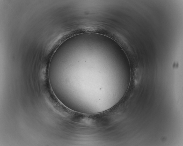 X0000113990596200910021224