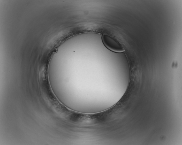 X0000113990597200910021224